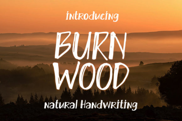 Burn Wood: A Quirky Display Font for Bold Projects